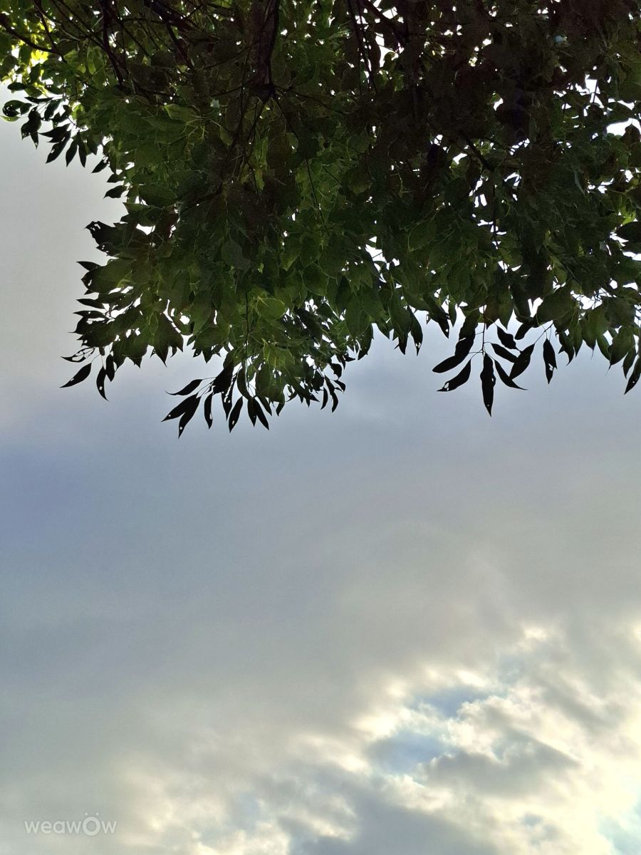 Wetter Photos Welt. Wettervorhersagen mit schönen Fotos von Wen-ya Huang