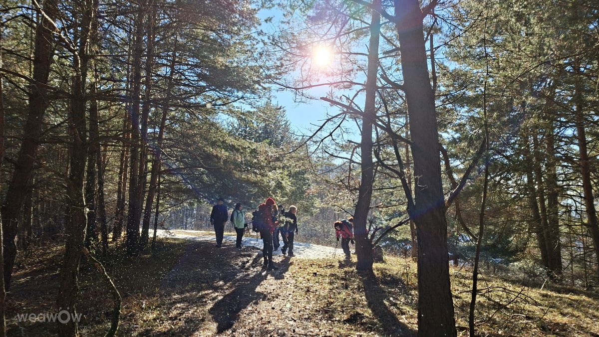 Photographer steve2025s, Weather Photos in Svätý Vendelín - Weawow