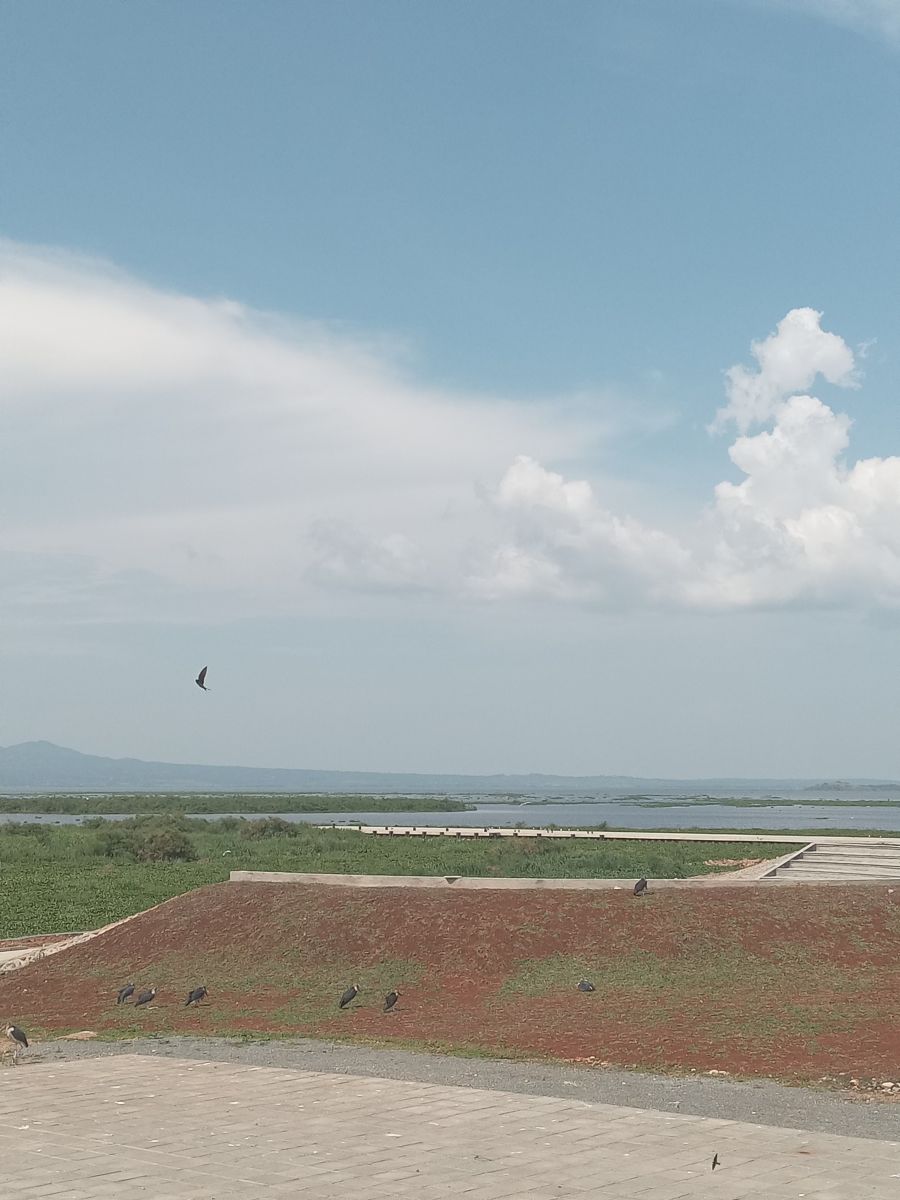 Fotos do tempo em Quênia. Previsões do tempo com lindas fotos de 41730108105