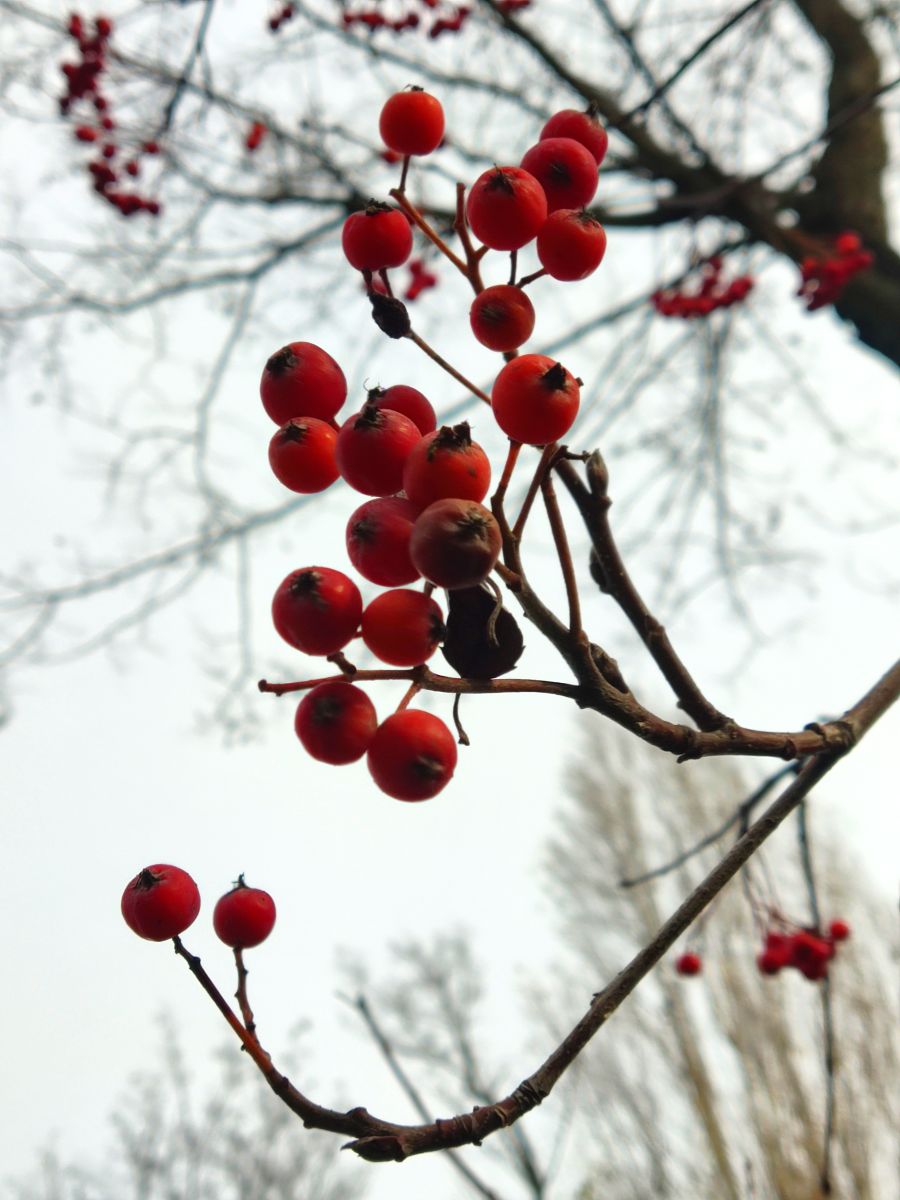 Weather Photos in Dnipropetrovsk. Weather forecasts with beautiful photos by Natal'a Nogtenko