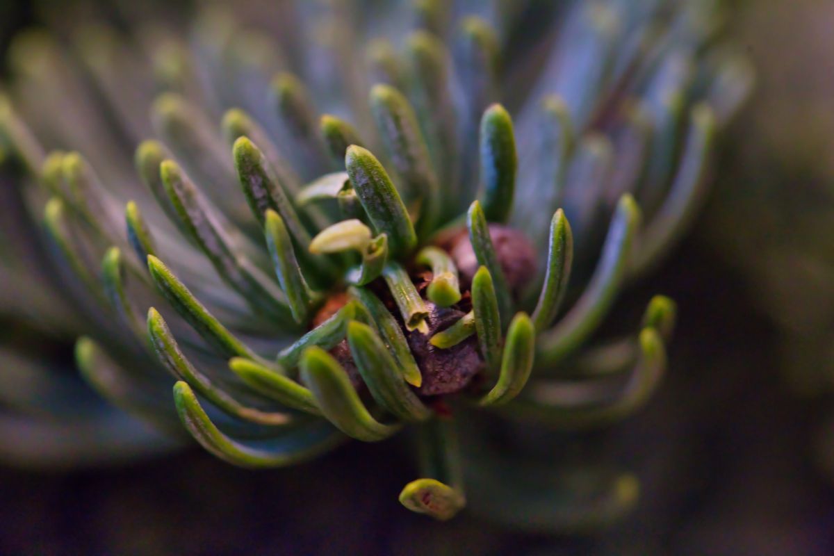 グダニスクの天気写真. martinm611の美しい写真による天気予報