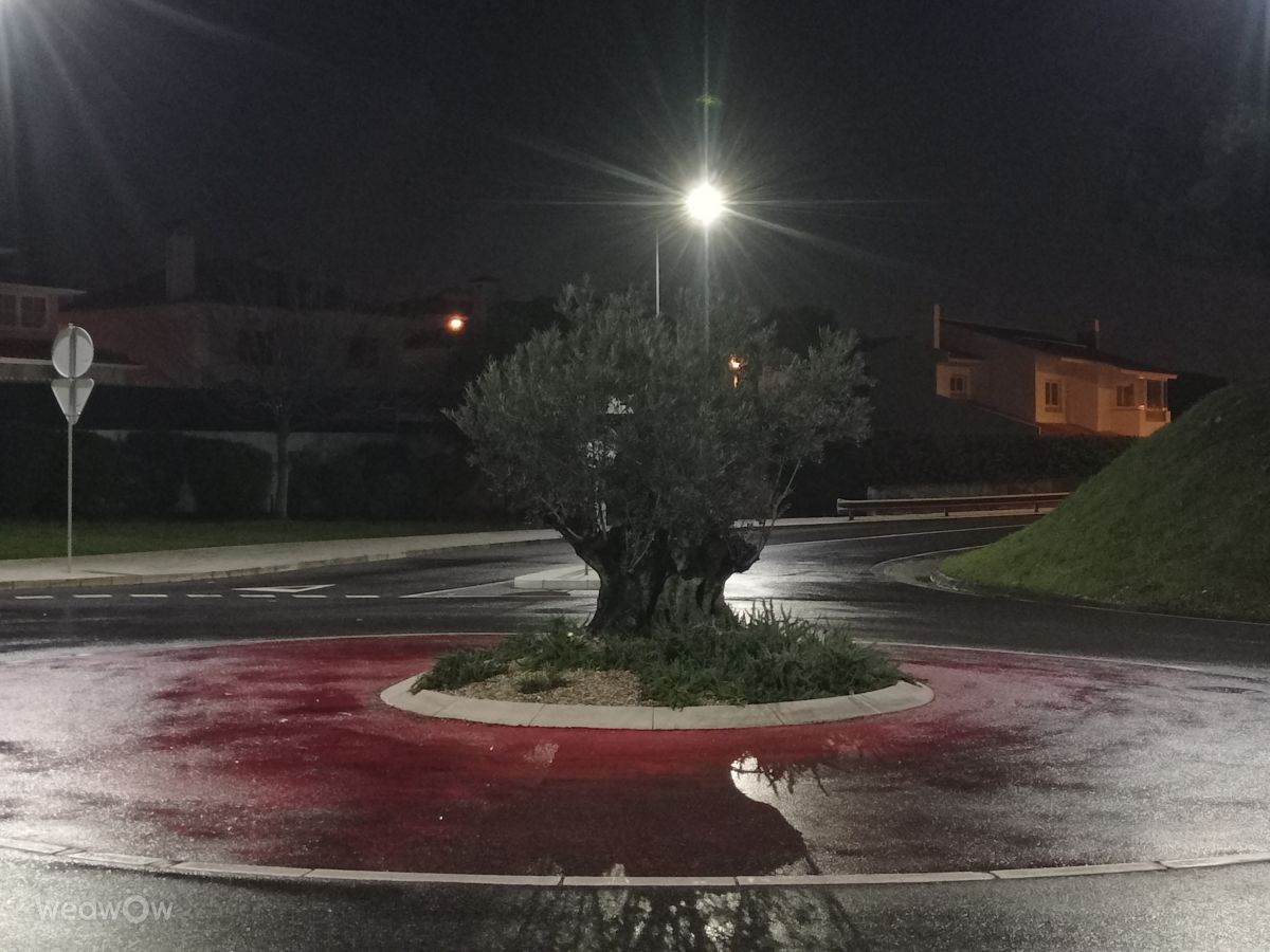 Weather forecasts with beautiful photos by Joaquim Fonseca