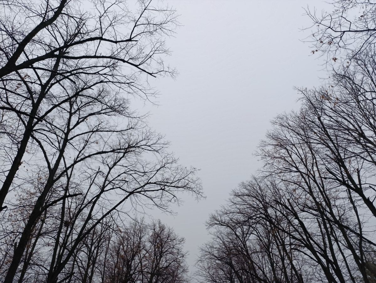 Luhanskの天気写真. Анжの美しい写真による天気予報