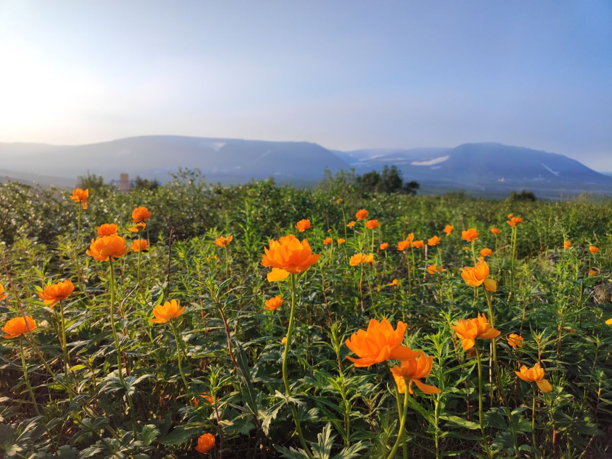 Wetter Photos Jenisseisk. Wettervorhersagen mit schönen Fotos von IvanIshimskiii