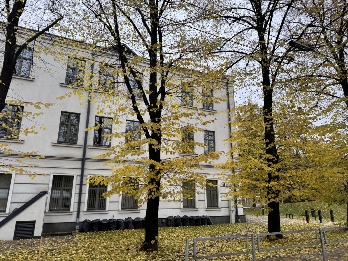 Weather Photos in Rīga. Weather forecasts with beautiful photos by Svet-Lana