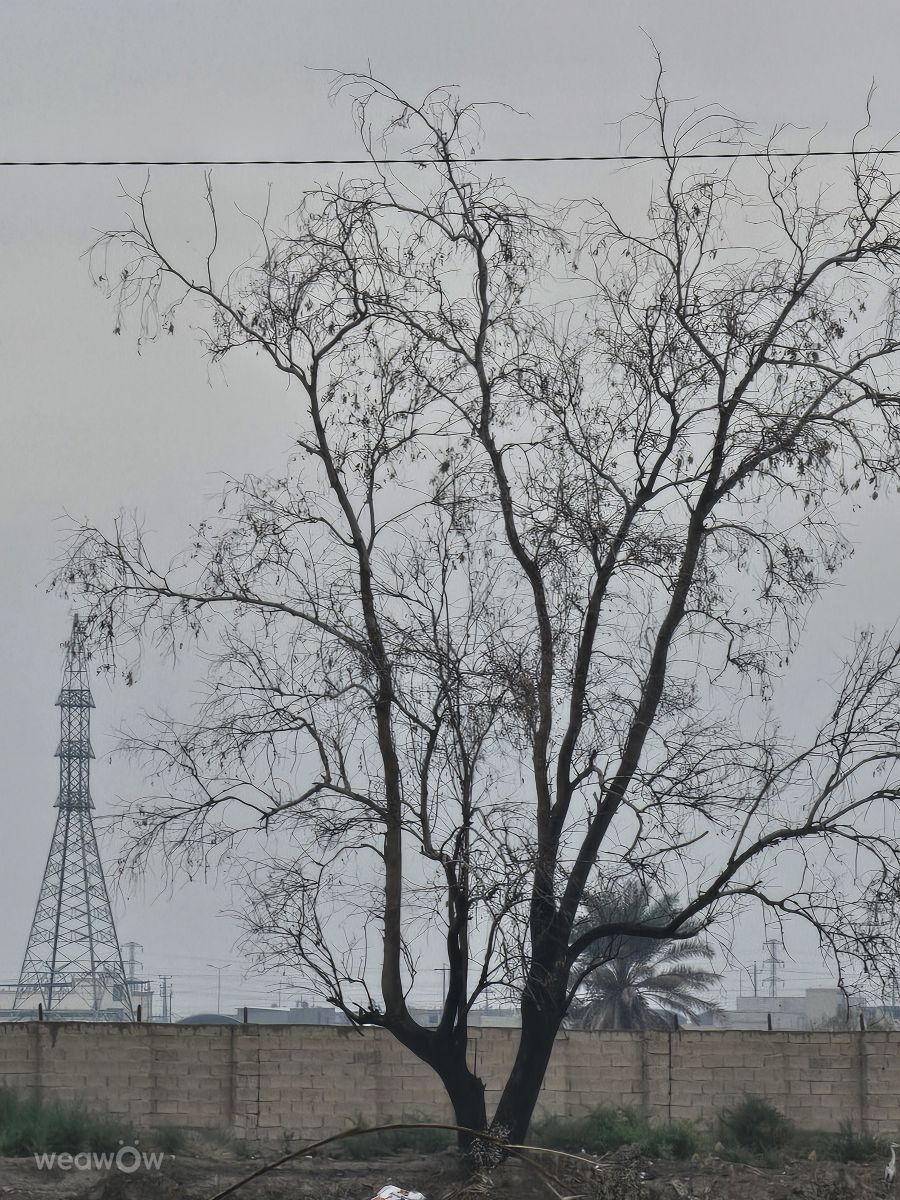 Wetter Photos Irak. Wettervorhersagen mit schönen Fotos von عطر الياسمين