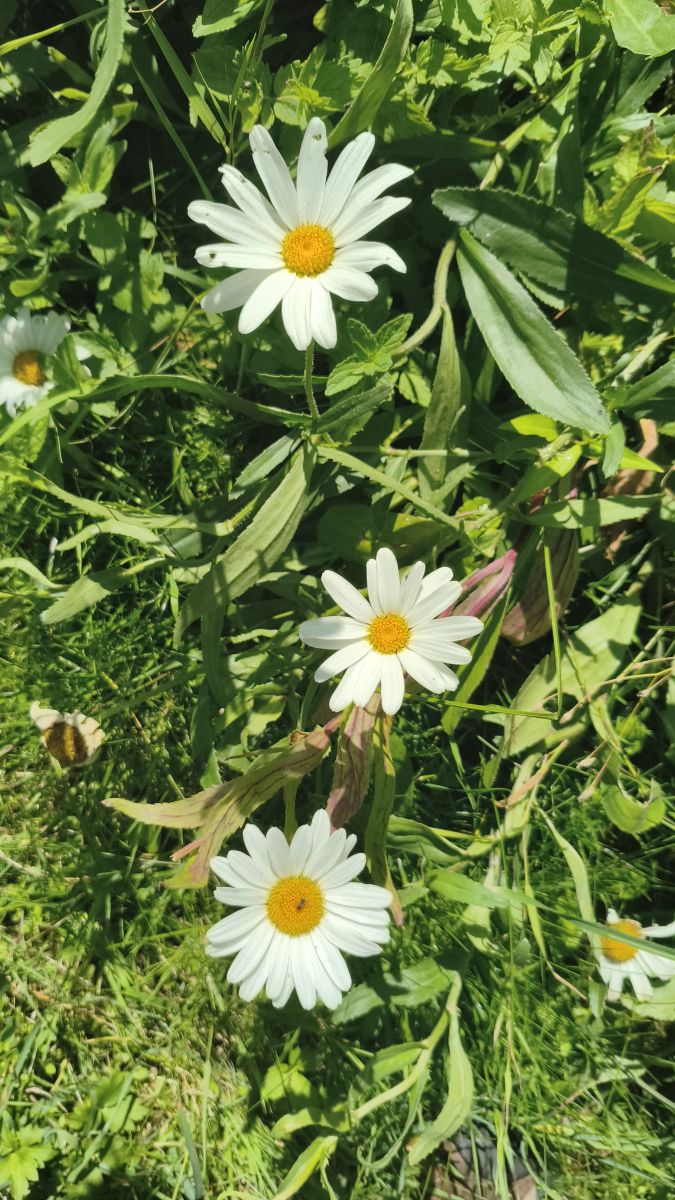 Fotos sobre el clima en Prahova. Pronósticos del tiempo con hermosas fotos de YanBog