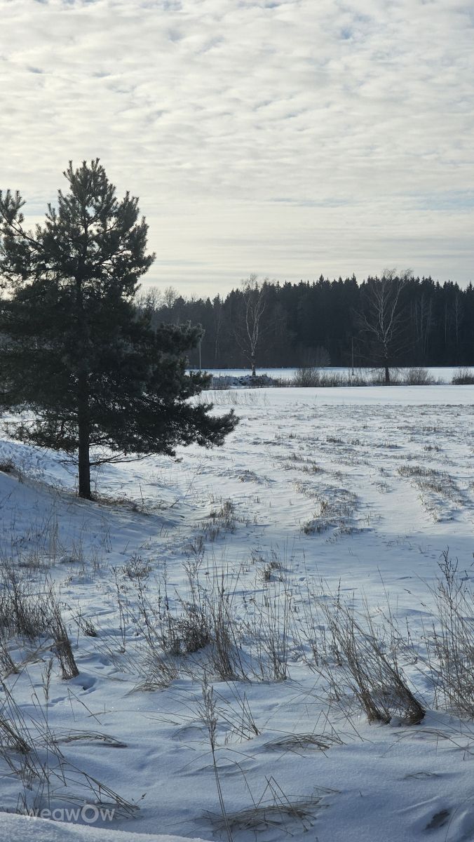 Fotos do tempo em Ogre. Previsões do tempo com lindas fotos de Sandra Bokisha