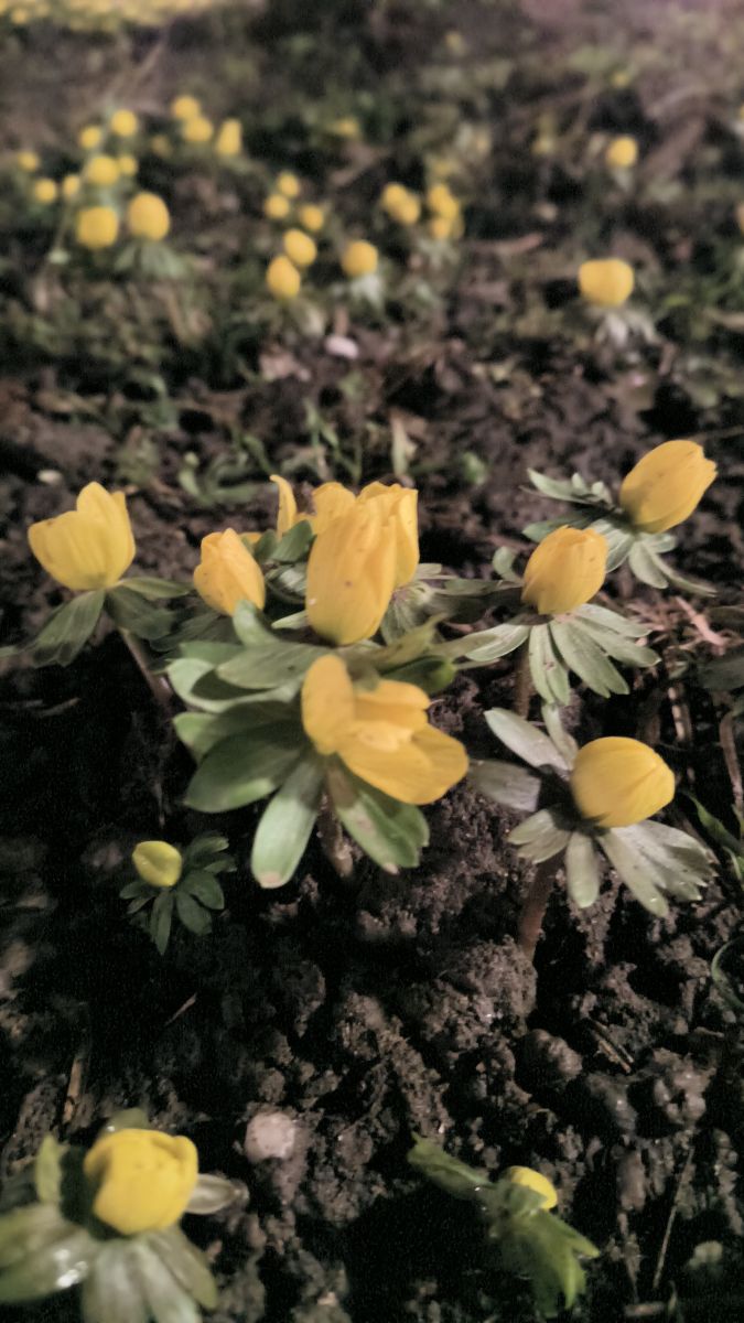 Fotos do tempo em Romênia. Previsões do tempo com lindas fotos de YanBog