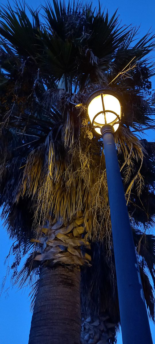 MORの美しい写真による天気予報