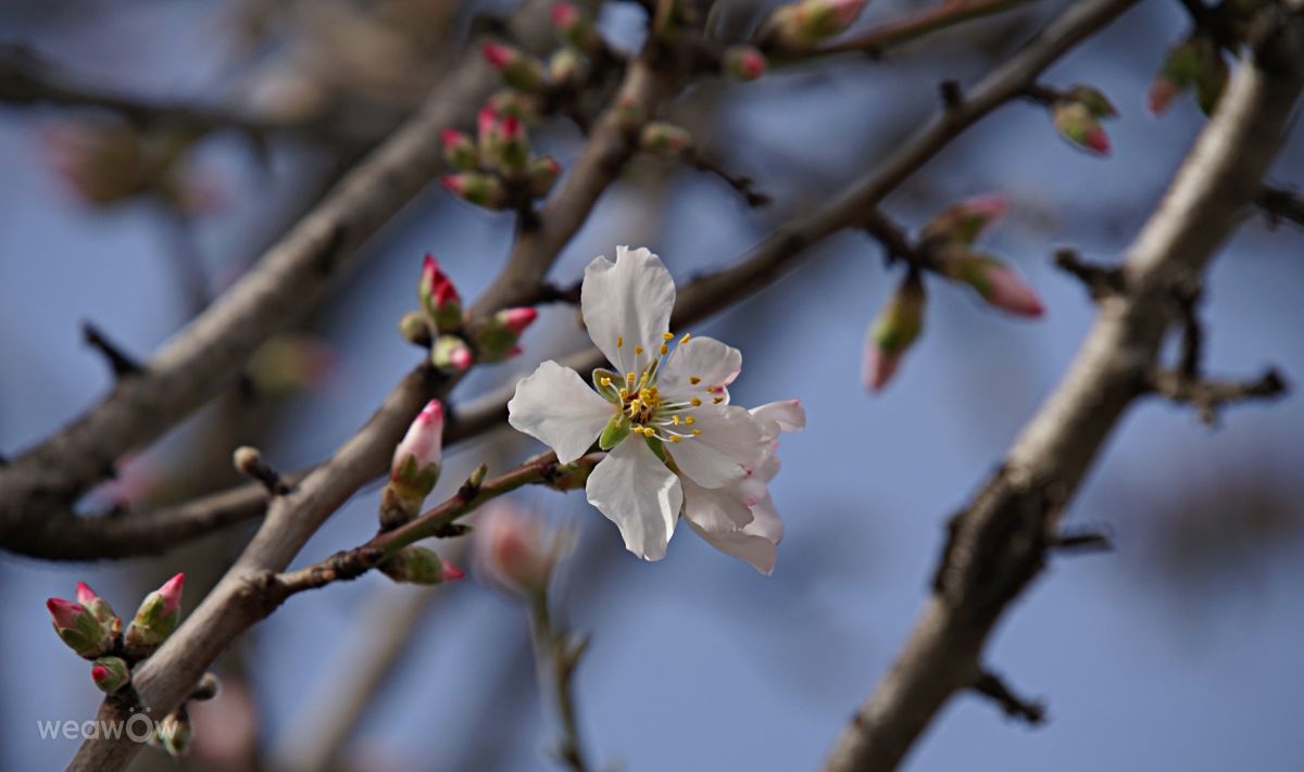 Weather Photos in Calvisson. Weather forecasts with beautiful photos by tony5636