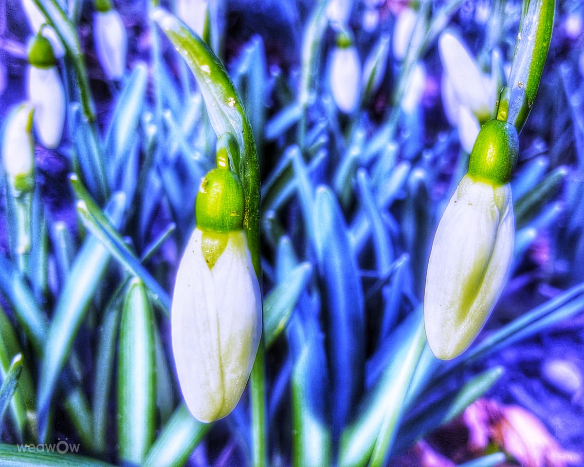 Weather Photos in Wellinghofen. Weather forecasts with beautiful photos by Gweiland