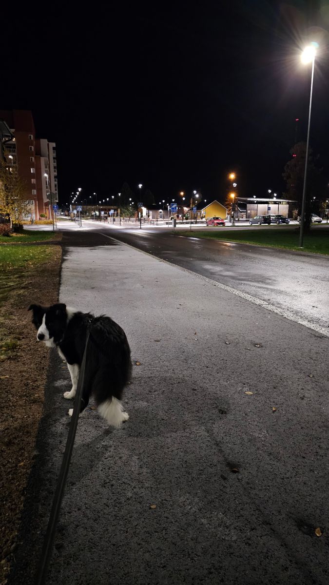 Photos météo à Ostrobotnie du Nord. Prévisions météo avec de superbes photos de Piia