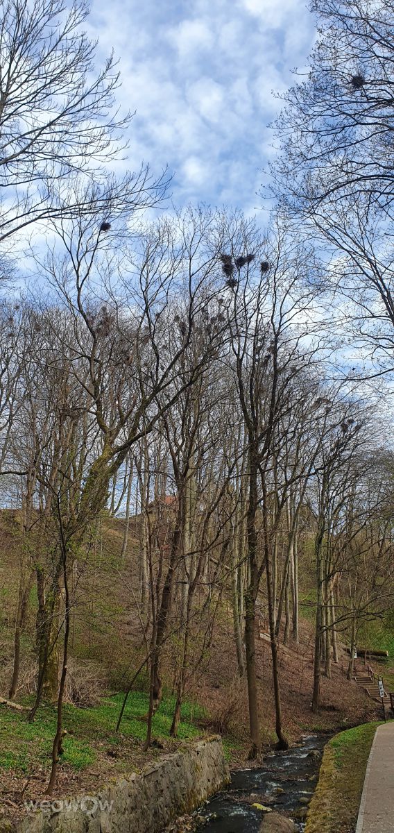 Фотографии Погоды в Решель. Прогнозы погоды с чудесными фотографиями, сделанными hefajstos