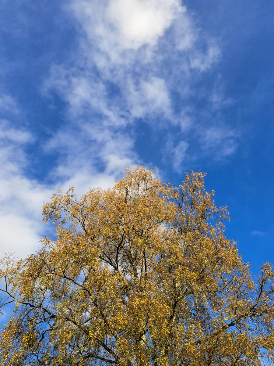 Weather Photos in Engelskirchen. Weather forecasts with beautiful photos by NikolausMinas