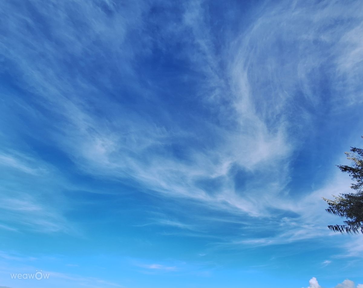 Weather Photos in Port Douglas. Weather forecasts with beautiful photos by bats