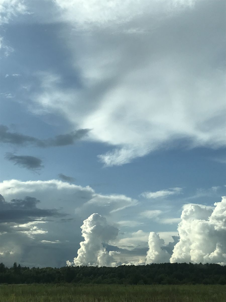 Weather Photos in Sovetsk. Weather forecasts with beautiful photos by set479