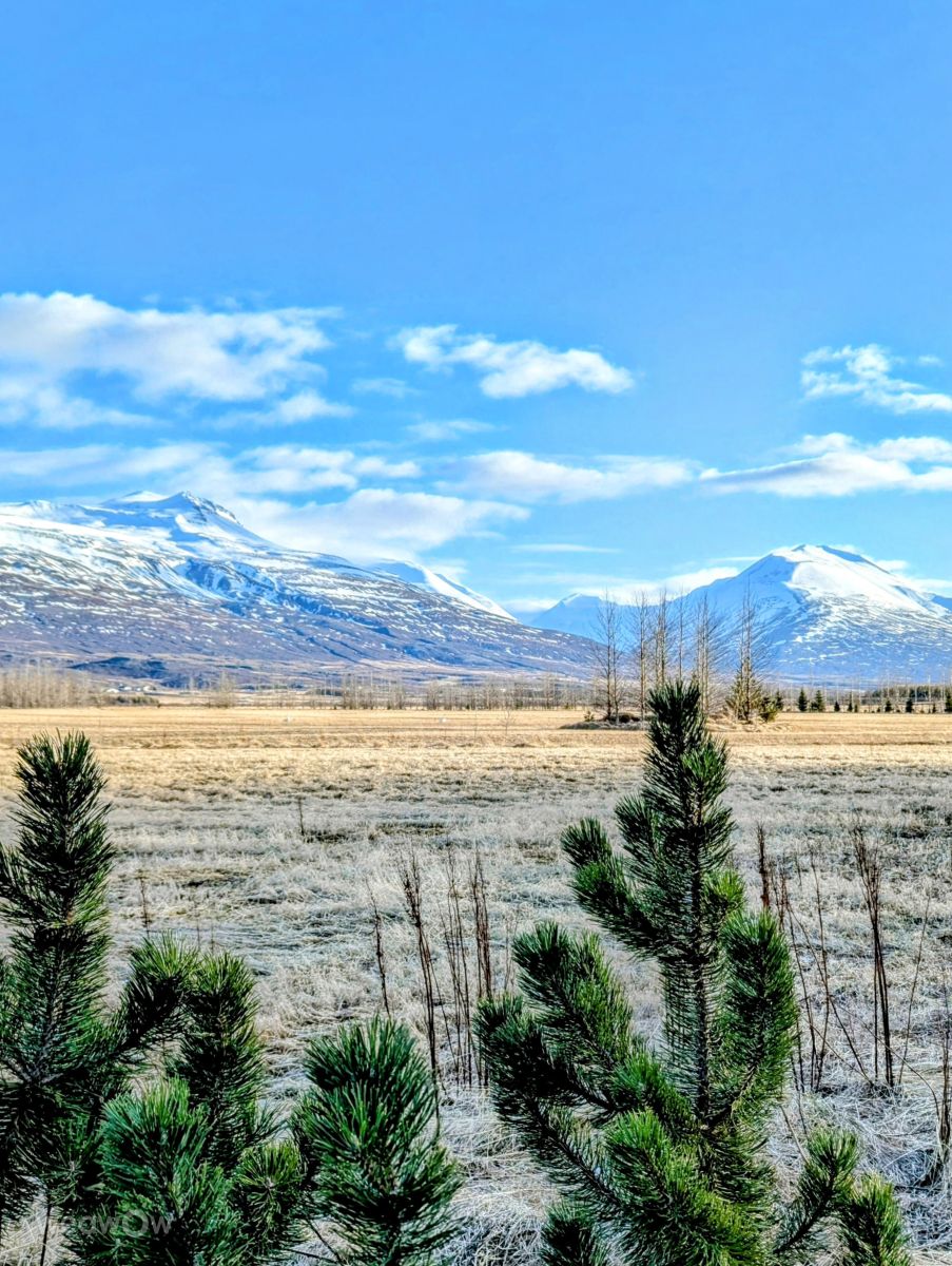 Weather forecasts with beautiful photos by rgo