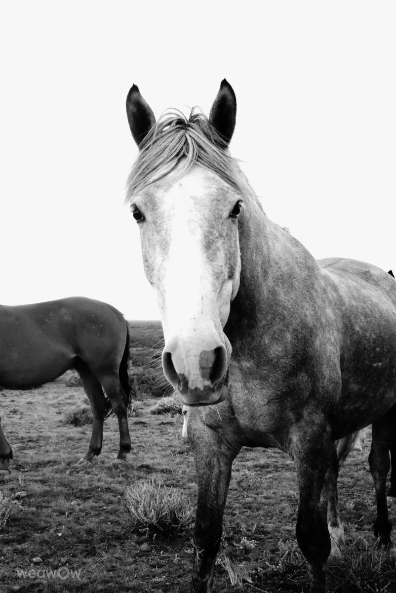 阿根廷的天气照片. 天气预报，带Horacio精美的照片