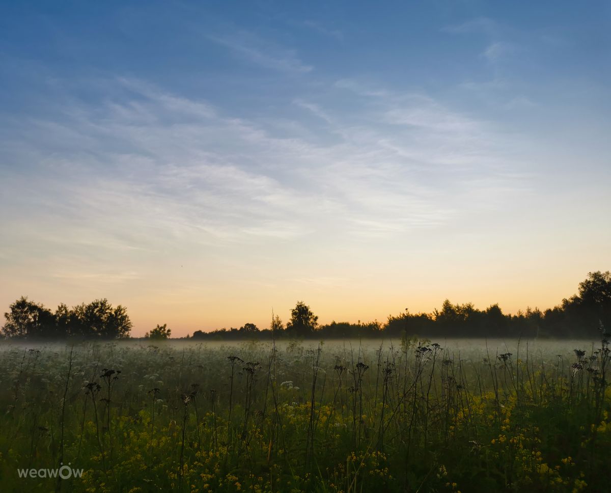 Fotos do tempo em Medvezh'i Ozera. Previsões do tempo com lindas fotos de Eva_Eva
