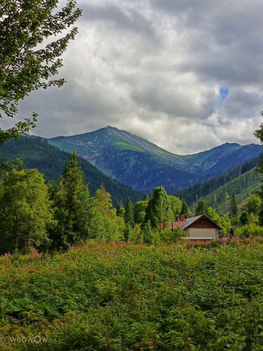 Weather Photos in Slovakia. Weather forecasts with beautiful photos by _richardd