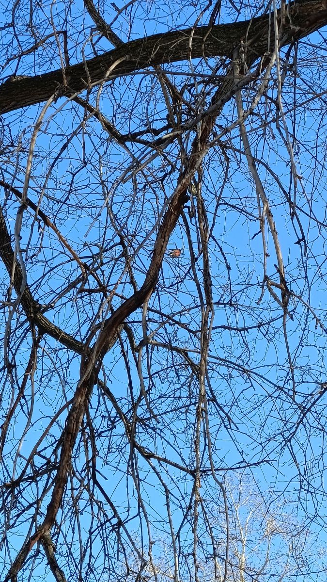 Weather forecasts with beautiful photos by Михаил Бондаренко