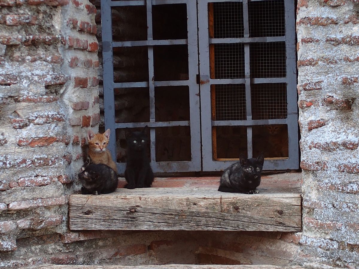 Weather Photos in Madrid. Weather forecasts with beautiful photos by BijanZ