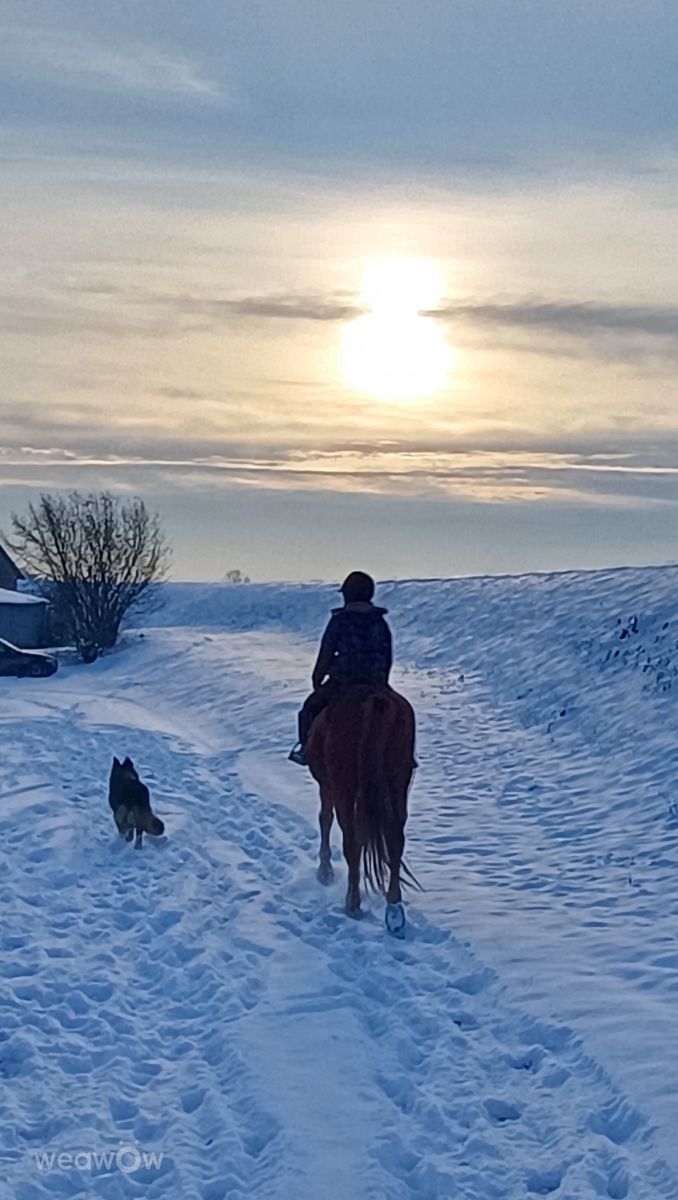 マーケットプレイスの天気写真. A-huculinka F-żの美しい写真による天気予報