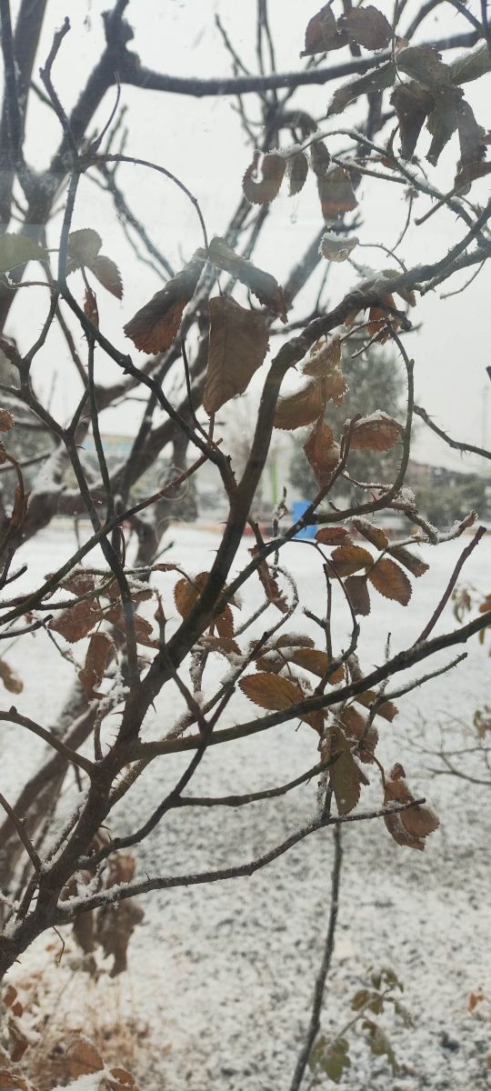Photos météo à Hormozgan. Prévisions météo avec de superbes photos de Mrkarimi31
