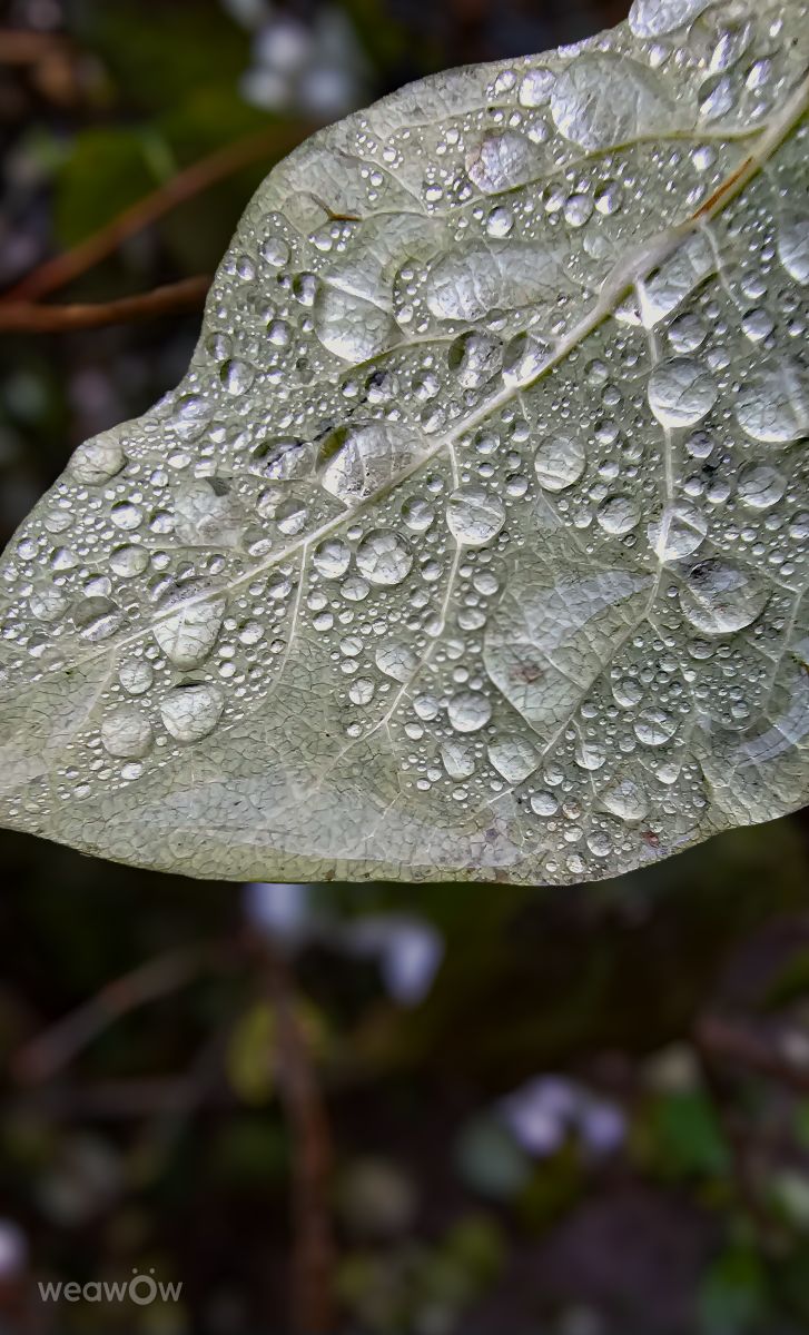 Dự báo thời tiết với những bức ảnh đẹp của Miloš_SK