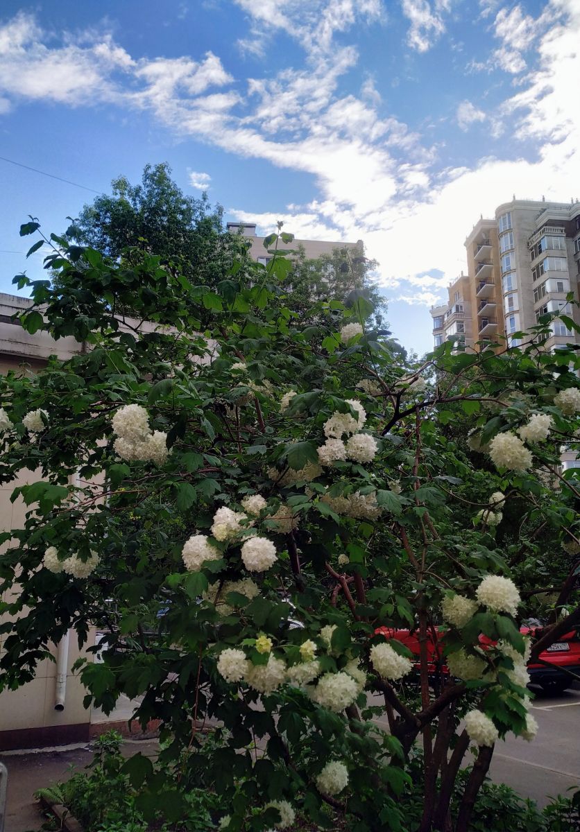 Фотографии Погоды в Москва. Прогнозы погоды с чудесными фотографиями, сделанными 19Larisa46