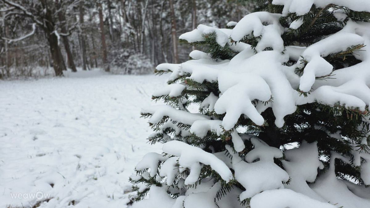 Previsões do tempo com lindas fotos de Kikko
