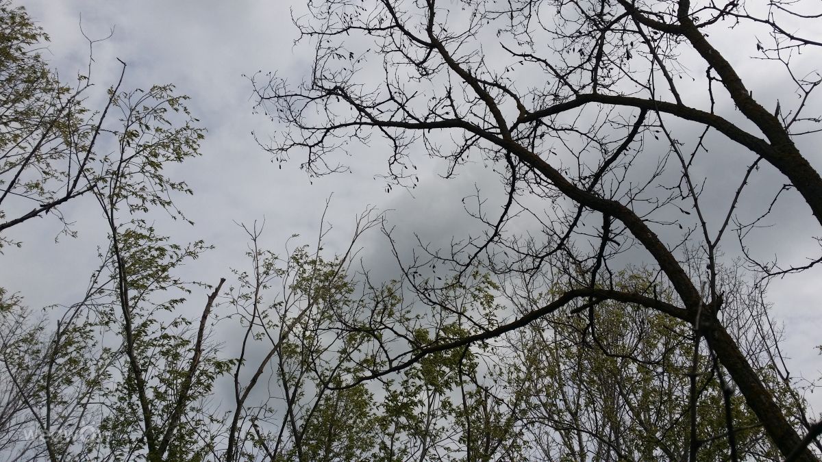 Fotos do tempo em Vaslui. Previsões do tempo com lindas fotos de rossg