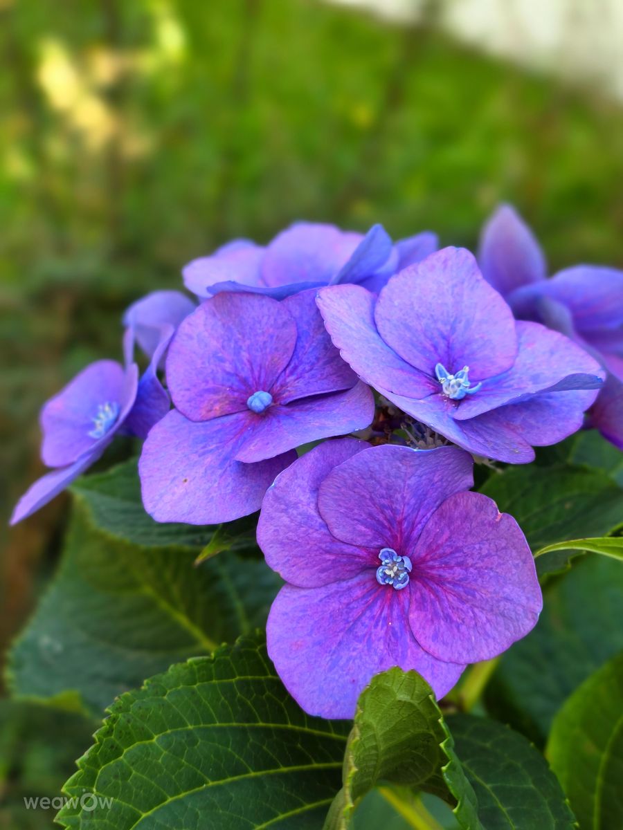 Velbertの天気写真. Seniの美しい写真による天気予報