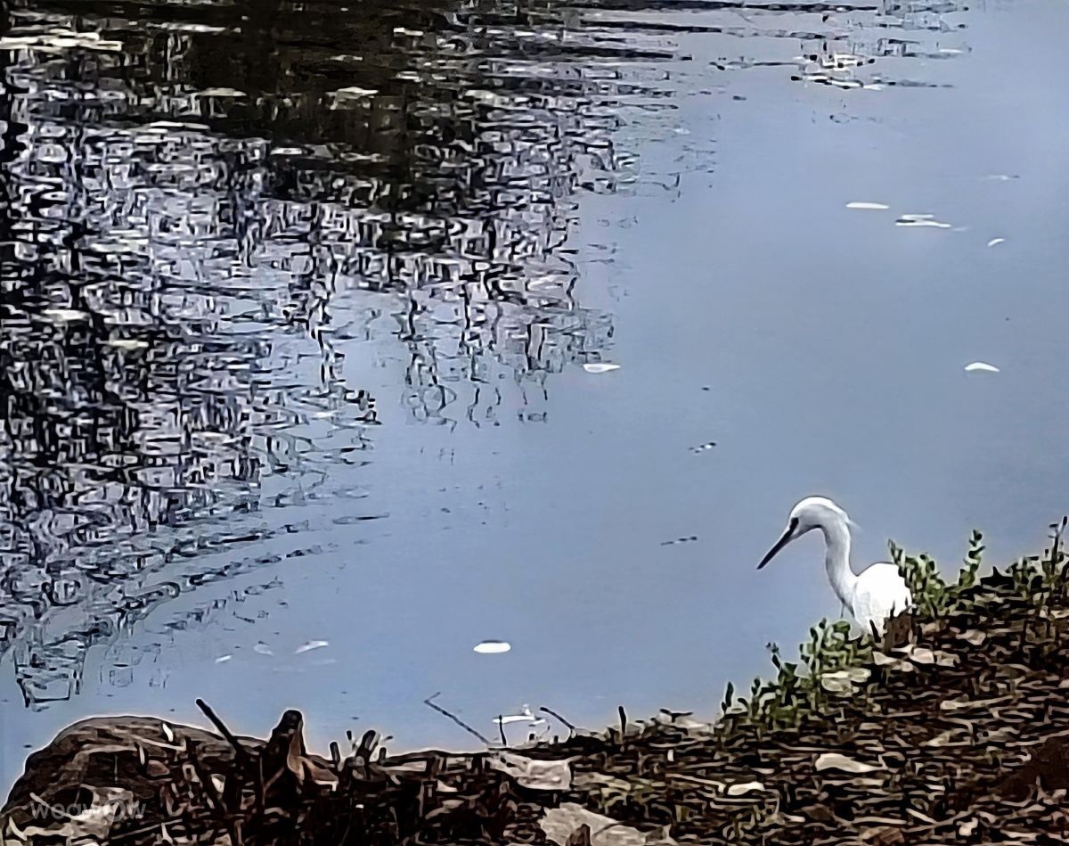 摄影师 Ghostroku，奇科的天气照片 - Weawow