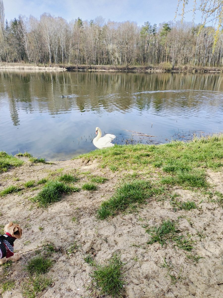 Фотографии Погоды в Белая Церковь. Прогнозы погоды с чудесными фотографиями, сделанными Маргарита Котенко