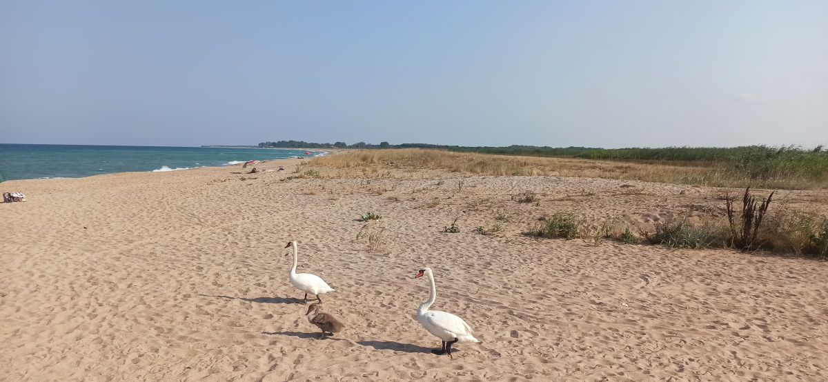 Фотографии Погоды в Dobrich. Прогнозы погоды с чудесными фотографиями, сделанными maxivanovbaba