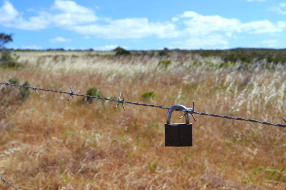 Weather forecasts with beautiful photos by Step_Gently