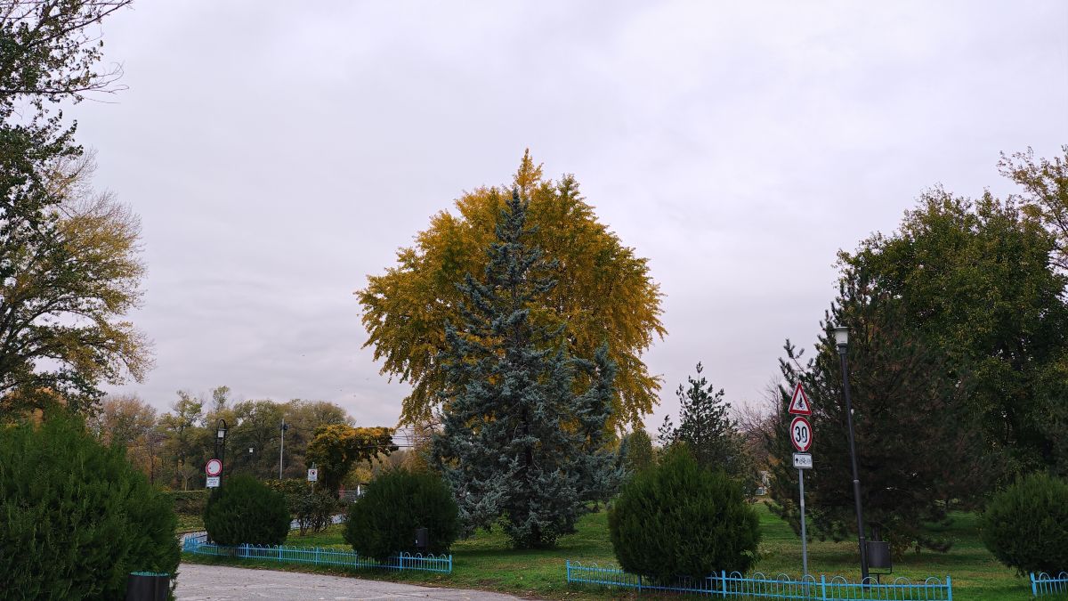 Fotografos Pitonq, Fotos do tempo em grebna baza - Weawow