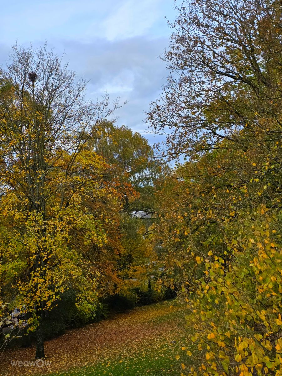 Fotografos Seni, Fotos do tempo em Velbert - Weawow