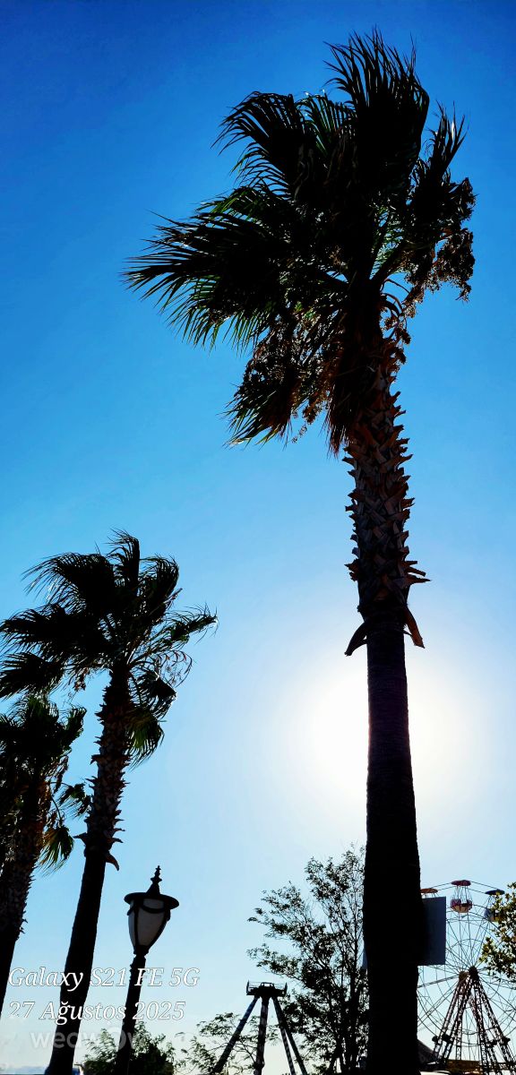 Weather Photos in Aydın. Weather forecasts with beautiful photos by Bülent Çelikiz