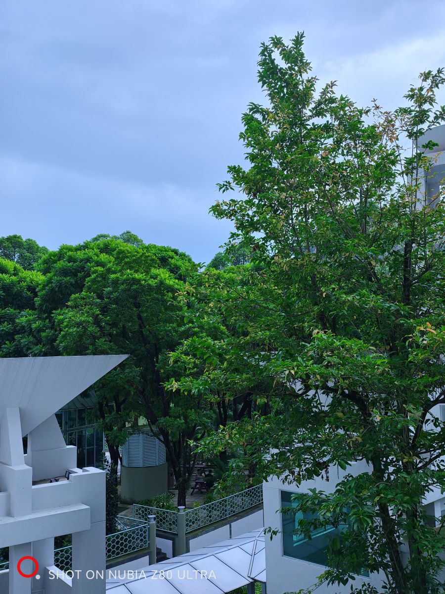 Weather Photos in Singapore. Weather forecasts with beautiful photos by Yong David