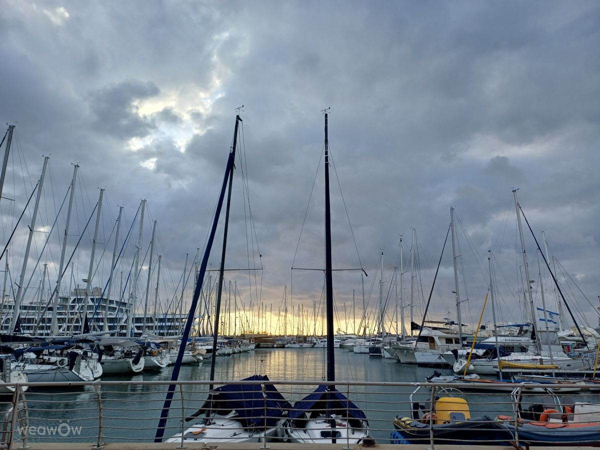 テルアビブ地区の天気写真. Zazaの美しい写真による天気予報