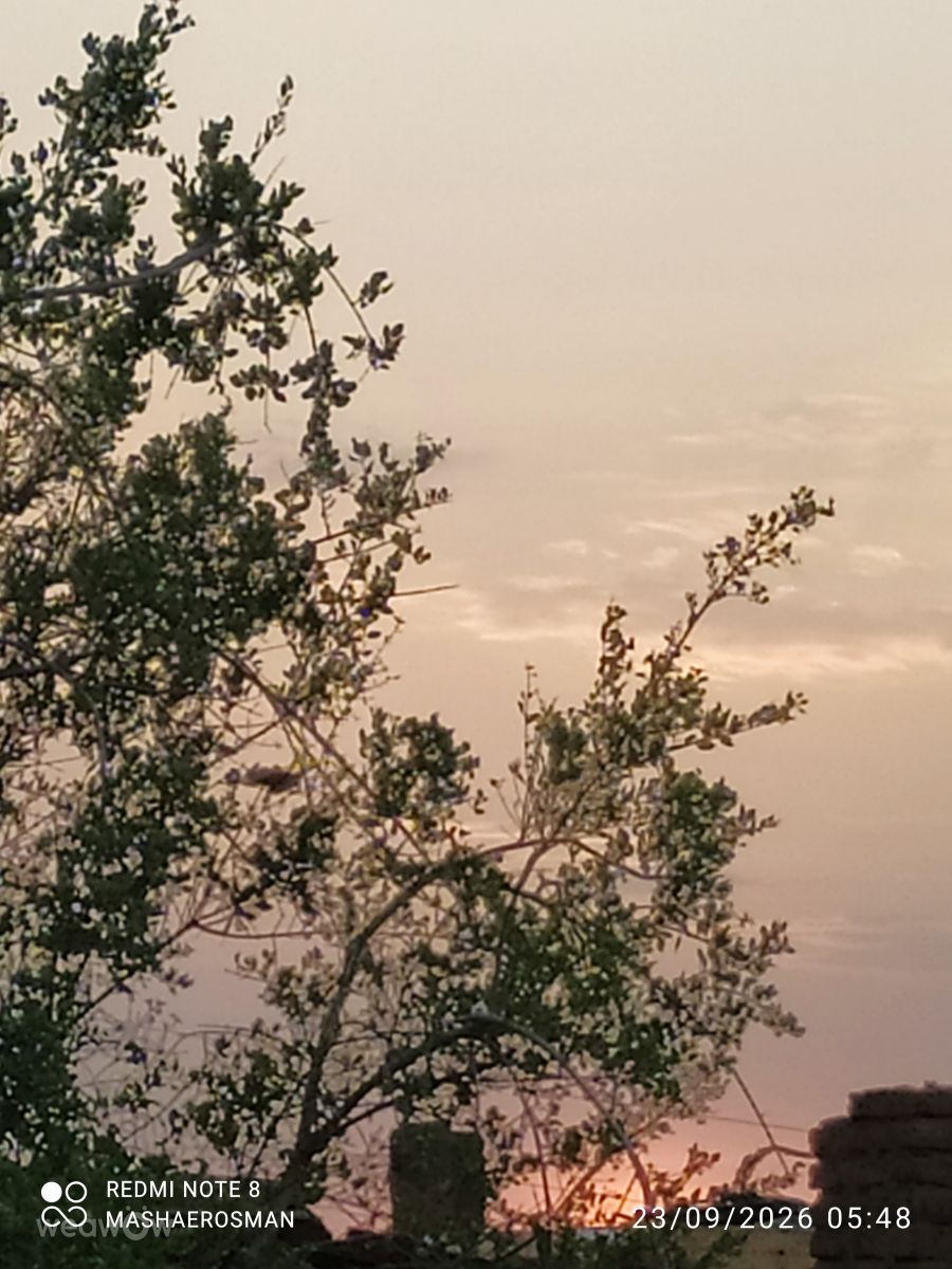 Weather Photos in Sudan. Weather forecasts with beautiful photos by Mashaer