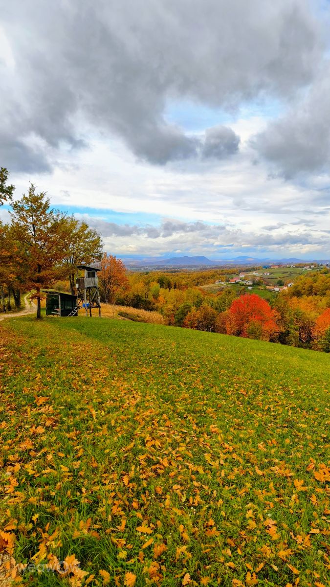 Weather forecasts with beautiful photos by mirzakovac
