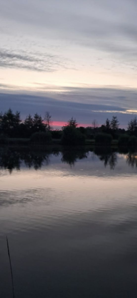 Weather Photos in Zalesie Górne. Weather forecasts with beautiful photos by Beatka