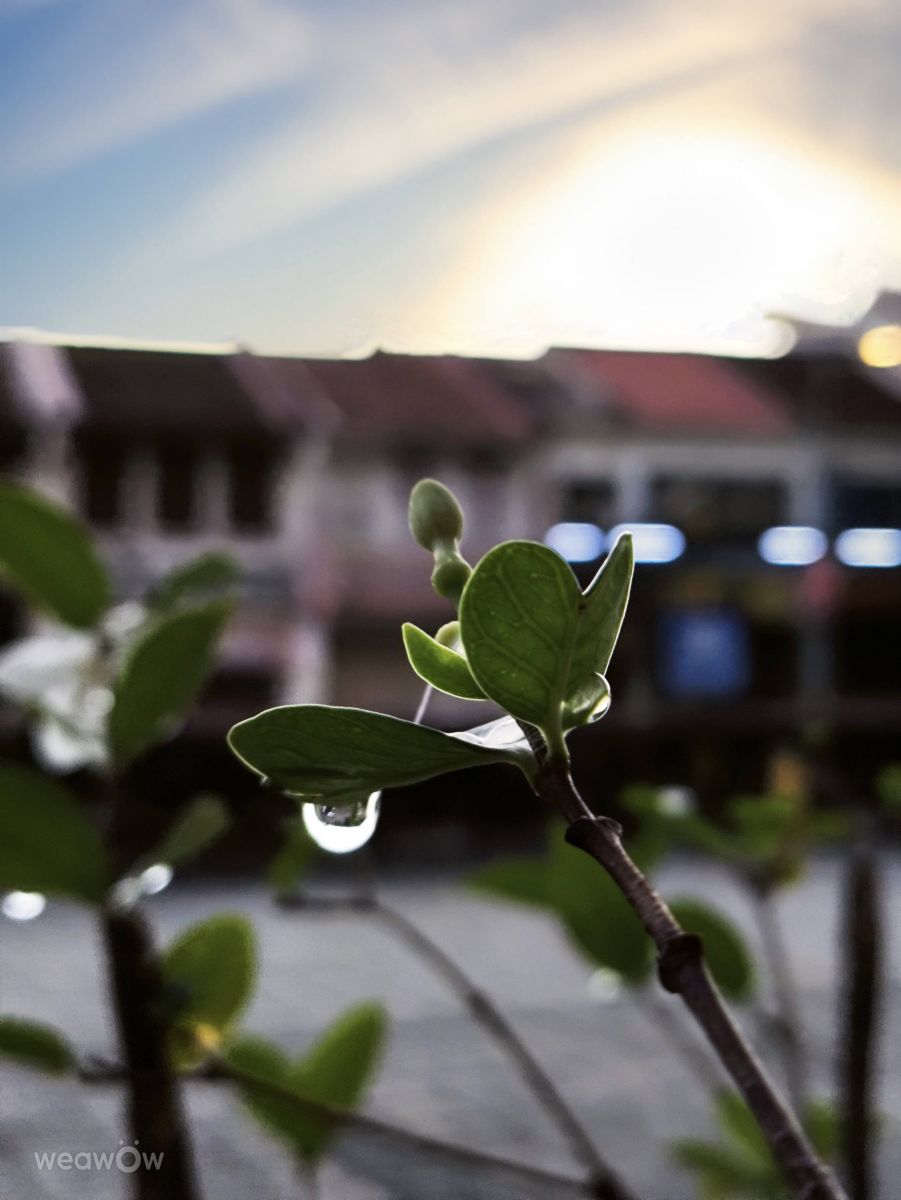 Weather forecasts with beautiful photos by Takimi-sky