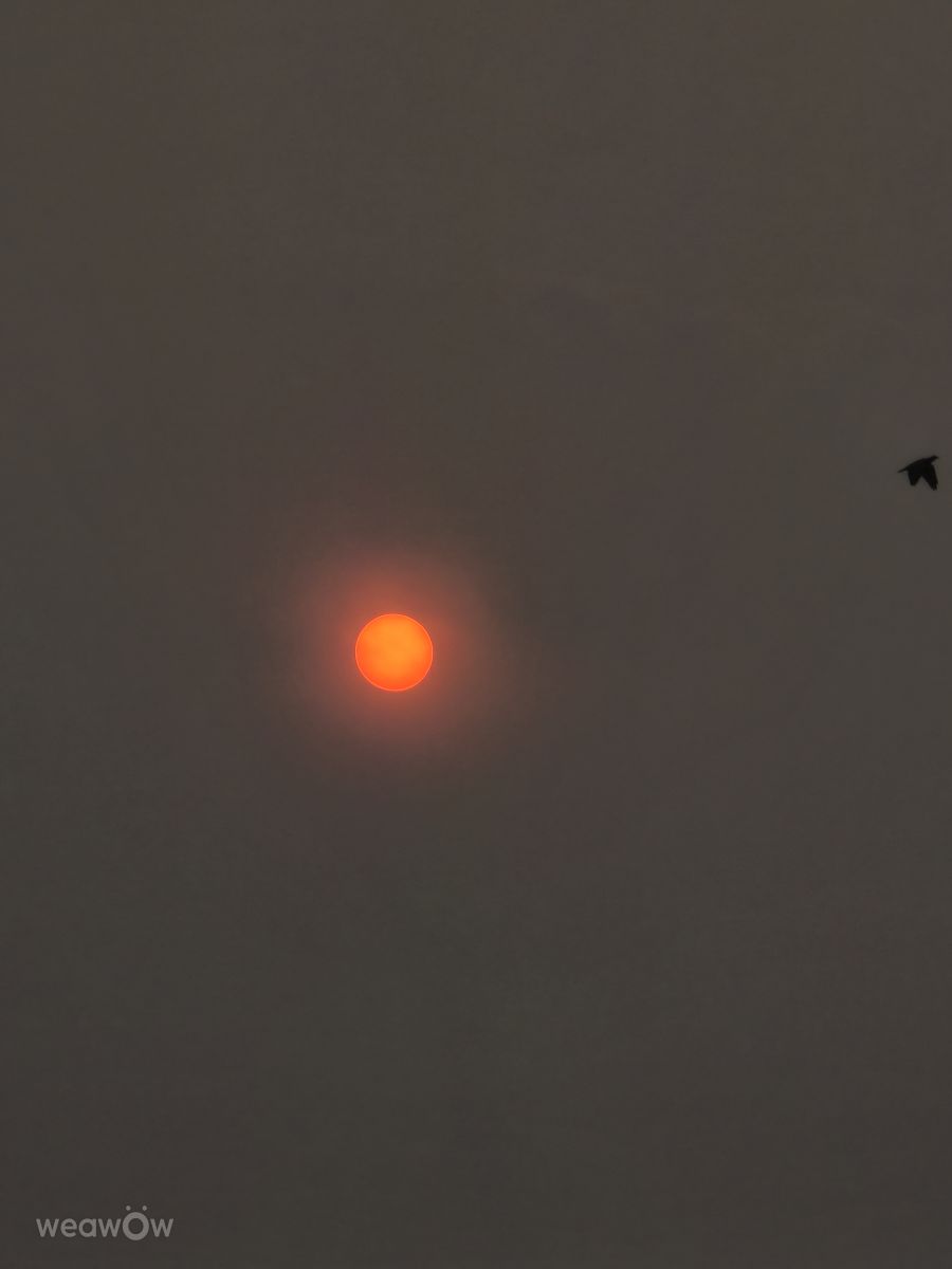 南马托格罗索州的天气照片. 天气预报，带danilolima精美的照片