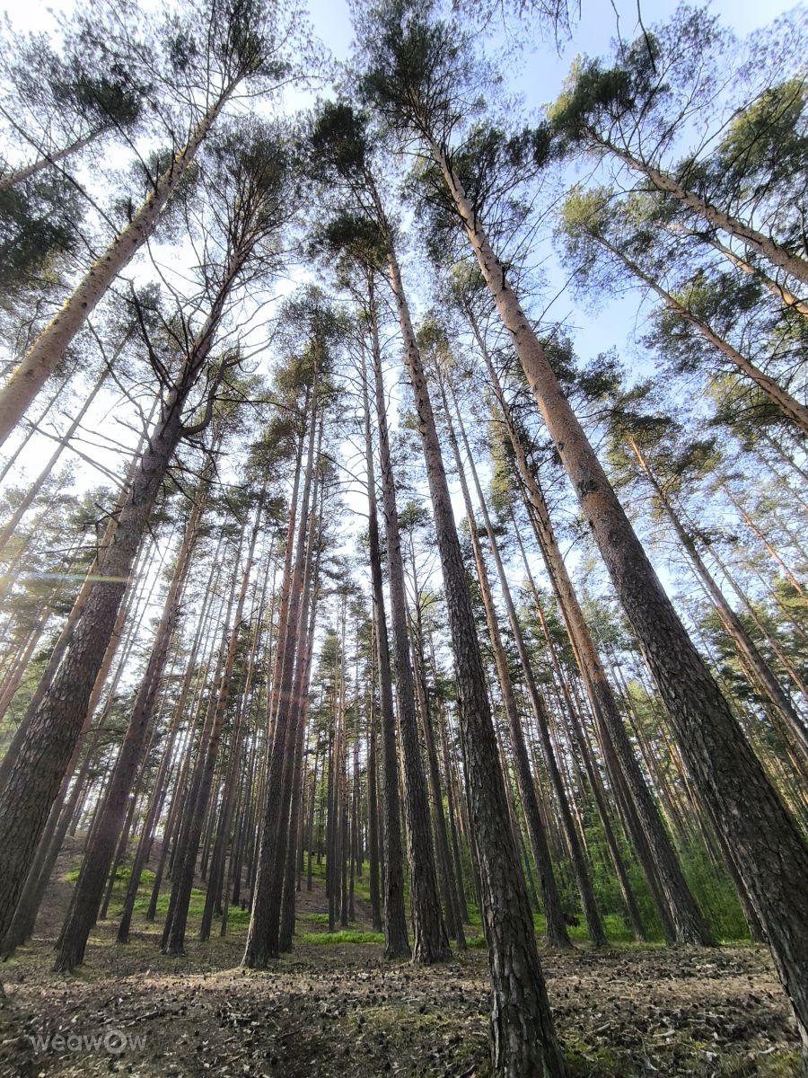 Фотографии Погоды в Санкт-Петербург. Прогнозы погоды с чудесными фотографиями, сделанными -_-devil666-_-