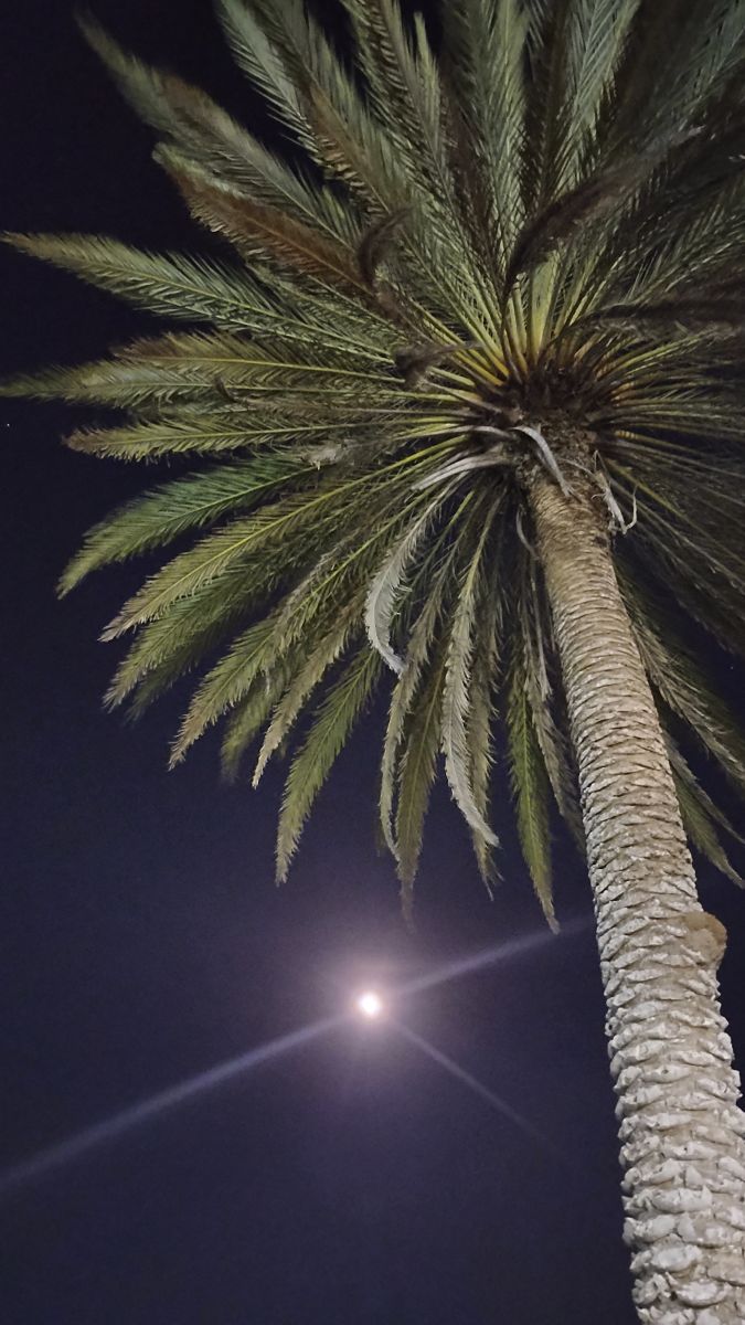 委内瑞拉的天气照片. 天气预报，带jrmonagasr精美的照片